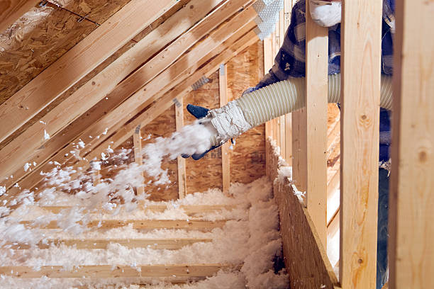 Best Basement Insulation  in Cuba, MO